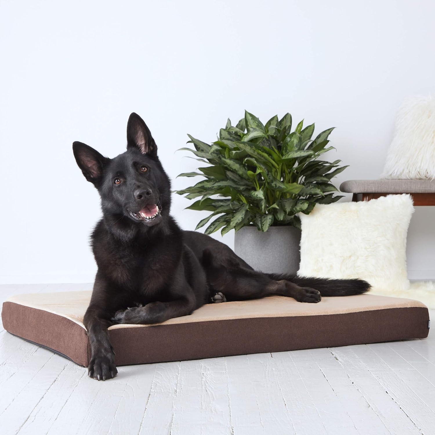 cama viscoel�stica perro amazon