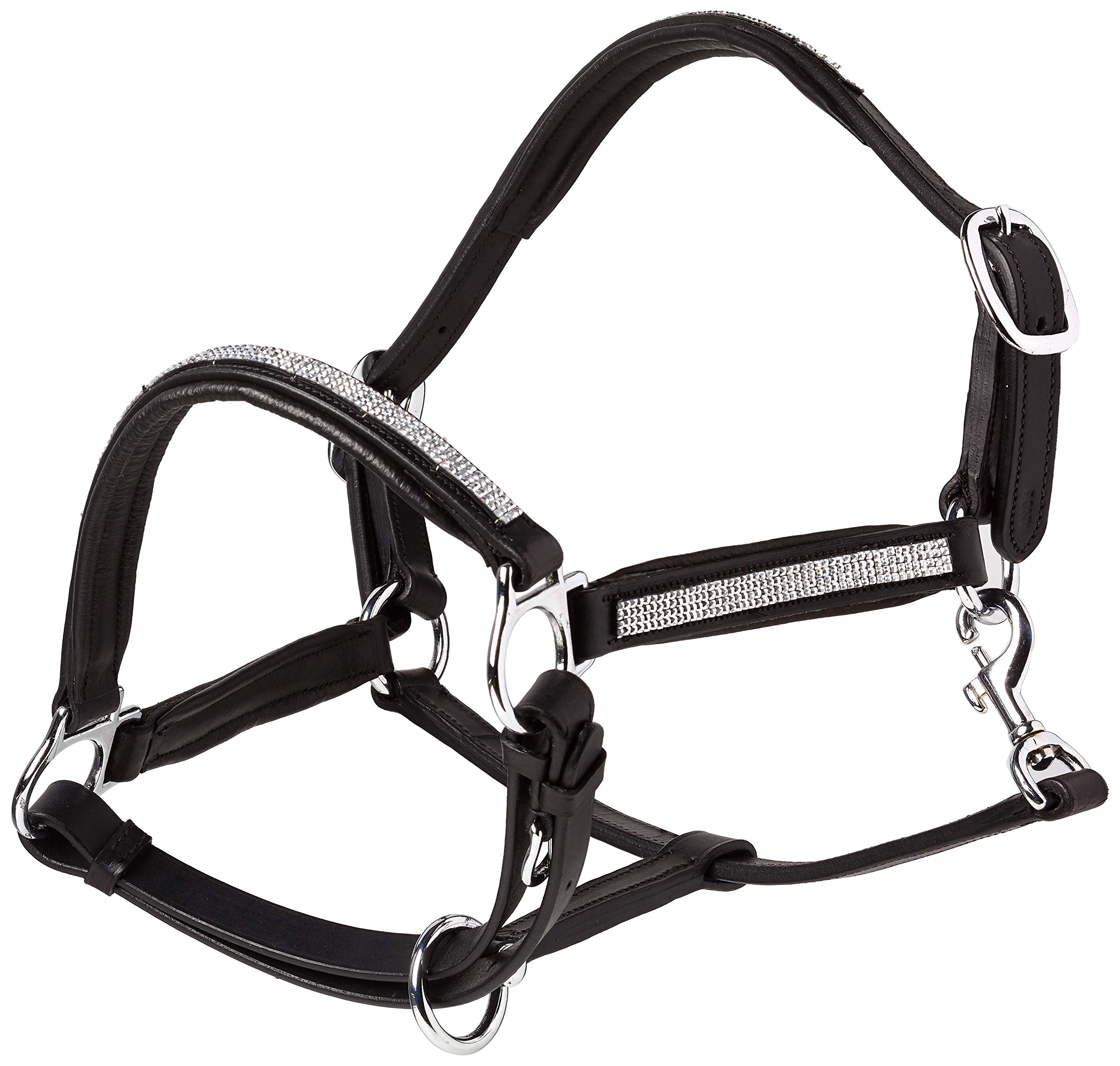 Cwell Equine NEW Leather Halter Padded with SS Buckles 6/8"-Cob, Full, Pony BLACK (PONY)