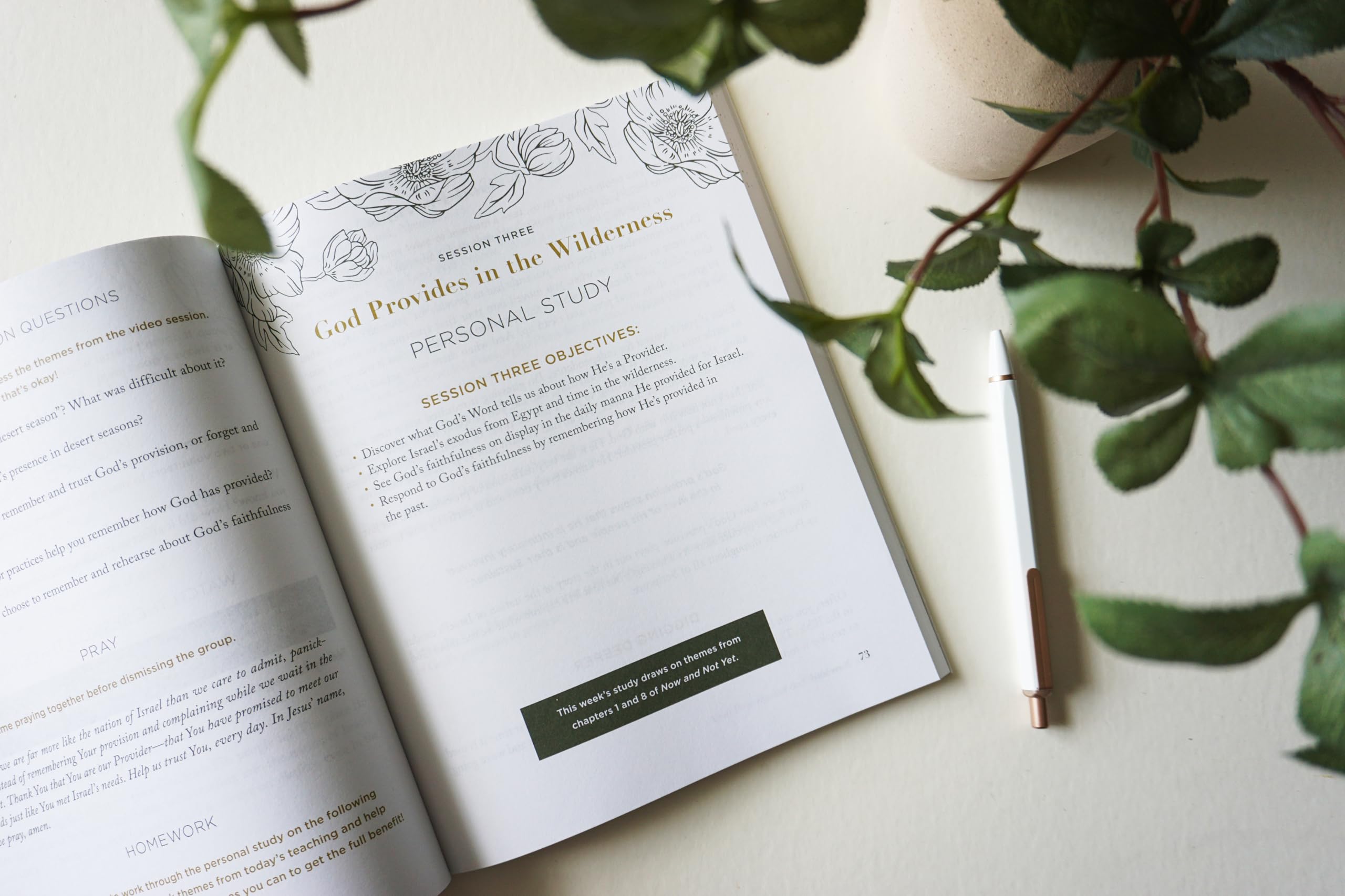 Now and Not Yet Bible Study Guide plus Streaming Video: Discovering Six Ways God Is More Faithful Than You Know