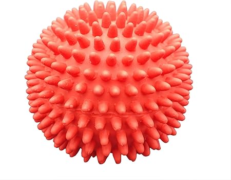 spiky dog ball