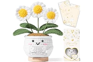 MAYICIVO Thank You Gifts for Women, Positive Daisy Flower Emotional Support Crochet - You are Incredibly Appreciated - Christmas Birthday Appreciation Inspirational Gifts for Teacher Coworker Nurse Mom Friend