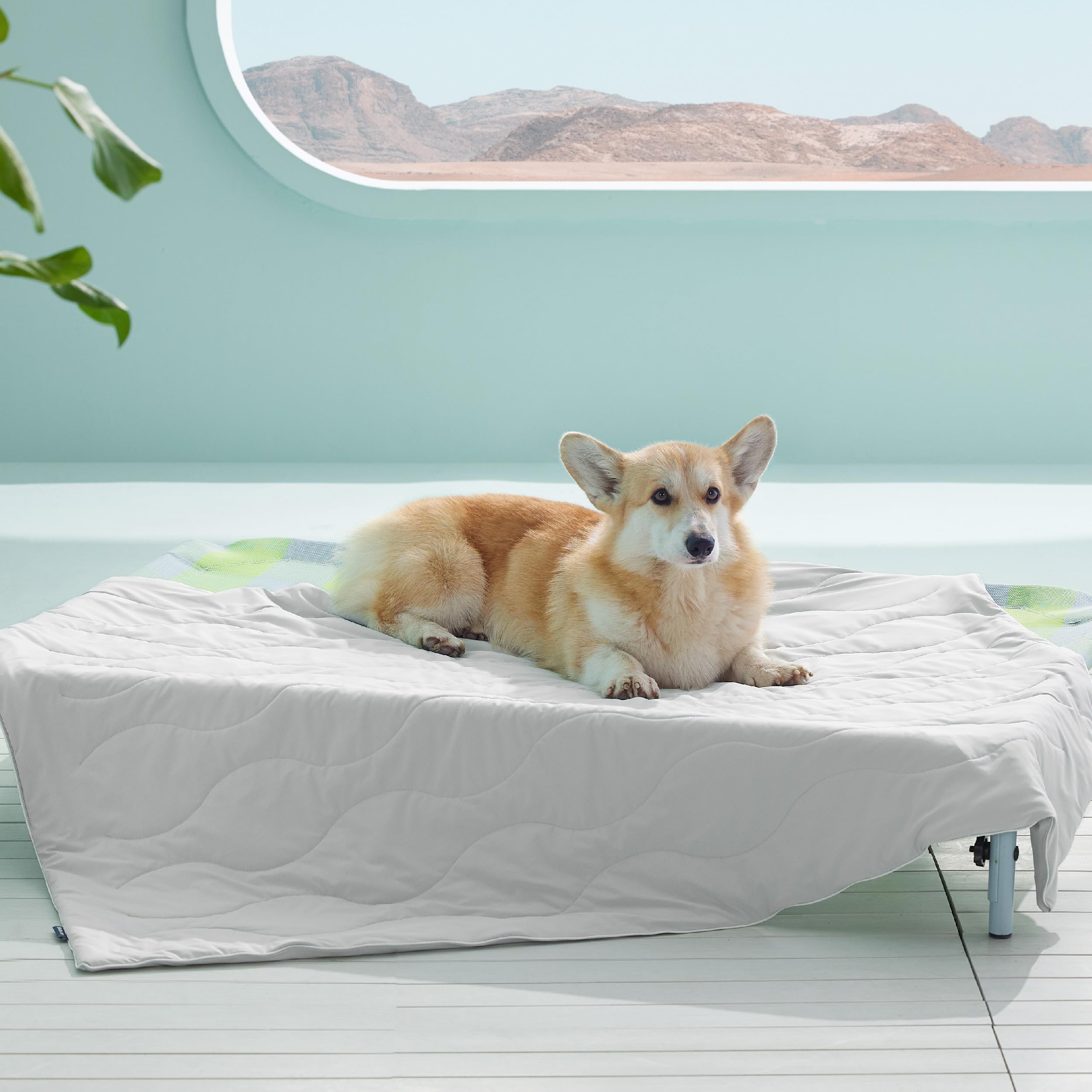 Photo 1 of Bedsure Premium Cooling Blanket for Large Dog - Q-MAX>0.5, Breathable Summer Washable Cold Pet Mat, Soft Durable Self Cooling Dog Mat for Hot Weather, Pearl Grey, 40x50