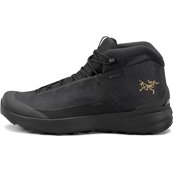 Amazon.com | Arc'teryx Aerios FL 2 Mid GTX Shoe Men's | Fast