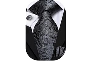 Hi-Tie Men 63inches Tie Set Extra Long Necktie Paisley Tie Pocket Suqare Cufflinks Big and Tall Men Tie