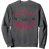 NBA Official Chicago Bulls Baseline Sweatshirt