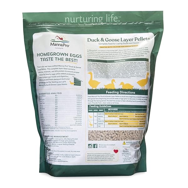 MANNA PRO DUCK AND GOOSE LAYER FEED – HIGH PROTEIN PELLETS FOR EGG PRODUCTION – FORMULATED WITH PROBIOTICS TO SUPPORT DIGESTIVE HEALTH IN DUCKS AND GEESE – POULTRY LAYER PELLETS – 8 LB BAG