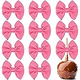 AIMUDI Hot Pink Satin Ribbon Bows with Twist Ties for Treat Bags 3.5" Pink Bows for Crafts Small Bows for Gift Wrapping Premade Bows for Cake Pop Candy Apples Gift Bags Wedding Baby Shower -24 Counts