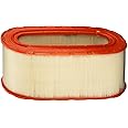 FRAM Extra Guard CA7438 Replacement Engine Air Filter for Select Ford Models, Provides Up to 12 Months or 12,000 Miles Filter Protection