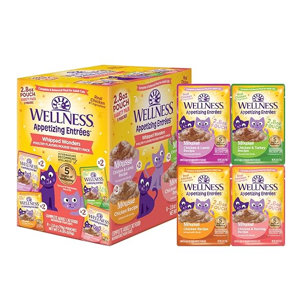 WELLNESS APPETIZING MOUSSE FLAKED VARIETY PACK ADULT WET...