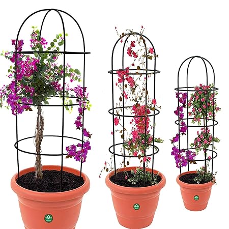 TrustBasket Obelisk Trellis for Plant Support - Set of 3