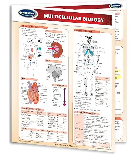 Cellular Anatomy Chart Medicine And Anatomy Quick Reference Guide