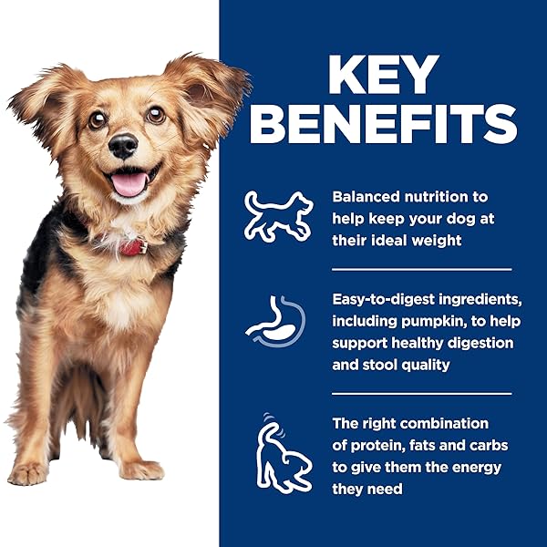 HILL’S SCIENCE DIET PERFECT DIGESTION, ADULT 1-6, SMALL & MINI BREEDS DIGESTIVE SUPPORT, DRY DOG FOOD, CHICKEN & BROWN RICE, 3.5 LB BAG