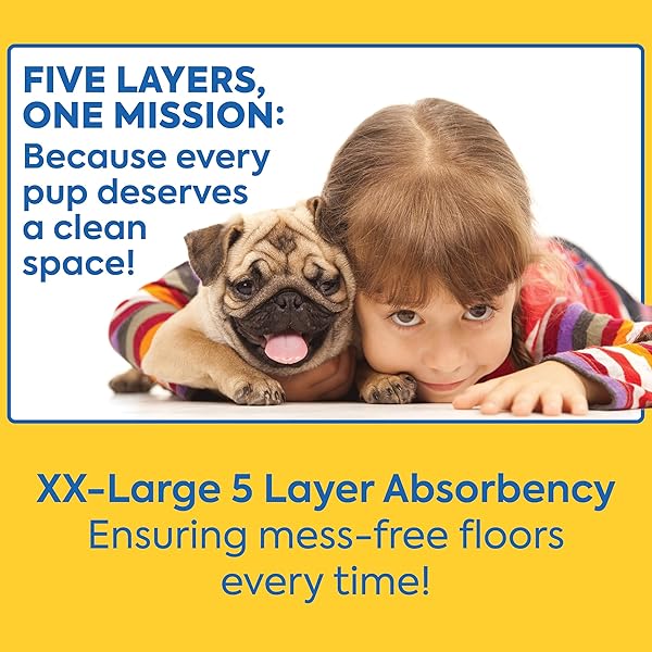 OUT! PETCARE XXL DOG TRAINING PADS, HEAVY DUTY DOG PEE PADS XXL, JUMBO PUPPY PADS, WEE WEE PADS FOR DOGS AND PUPPIES, DOG HOUSE TRAINING, LEAK PROOF, SAFE, DISPOSABLE, 26″X30″, 30 CT