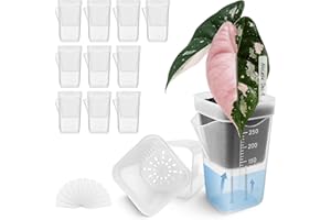 Vandorelle 12 Pack 2.5" Small Self Watering Pots for Indoor Plants, Mini Clear Plastic Planters, Semi-Hydro, Propagation, Cuttings, Seedlings, Hoya, African Violets, Alocasia, LECA, PON,12 Plant Label