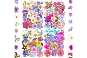 MIKIYA 91Pcs Purple Pressed Dried Flowers for Resin Molds, Assorted Real Natural Bulk Dry Floral Leaves for DIY Art Crafts, Epoxy Jewelry, Candle, Soap Making, Nails Decors Gifts