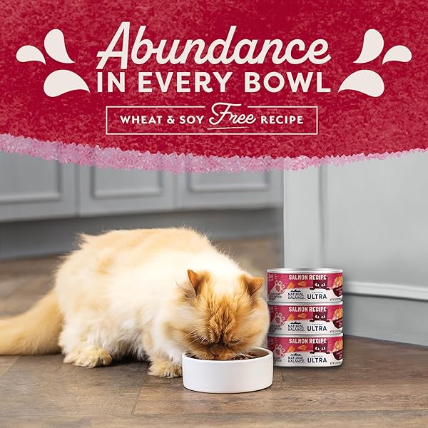 NATURAL BALANCE ORIGINAL ULTRA ADULT WET CANNED CAT FOOD, SALMON RECIPE, 5.5 OUNCE