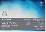 Winsor & Newton Watercolour Paper 100% Cotton 300 g/m² 25.4 x 35.6 cm 20 sheets