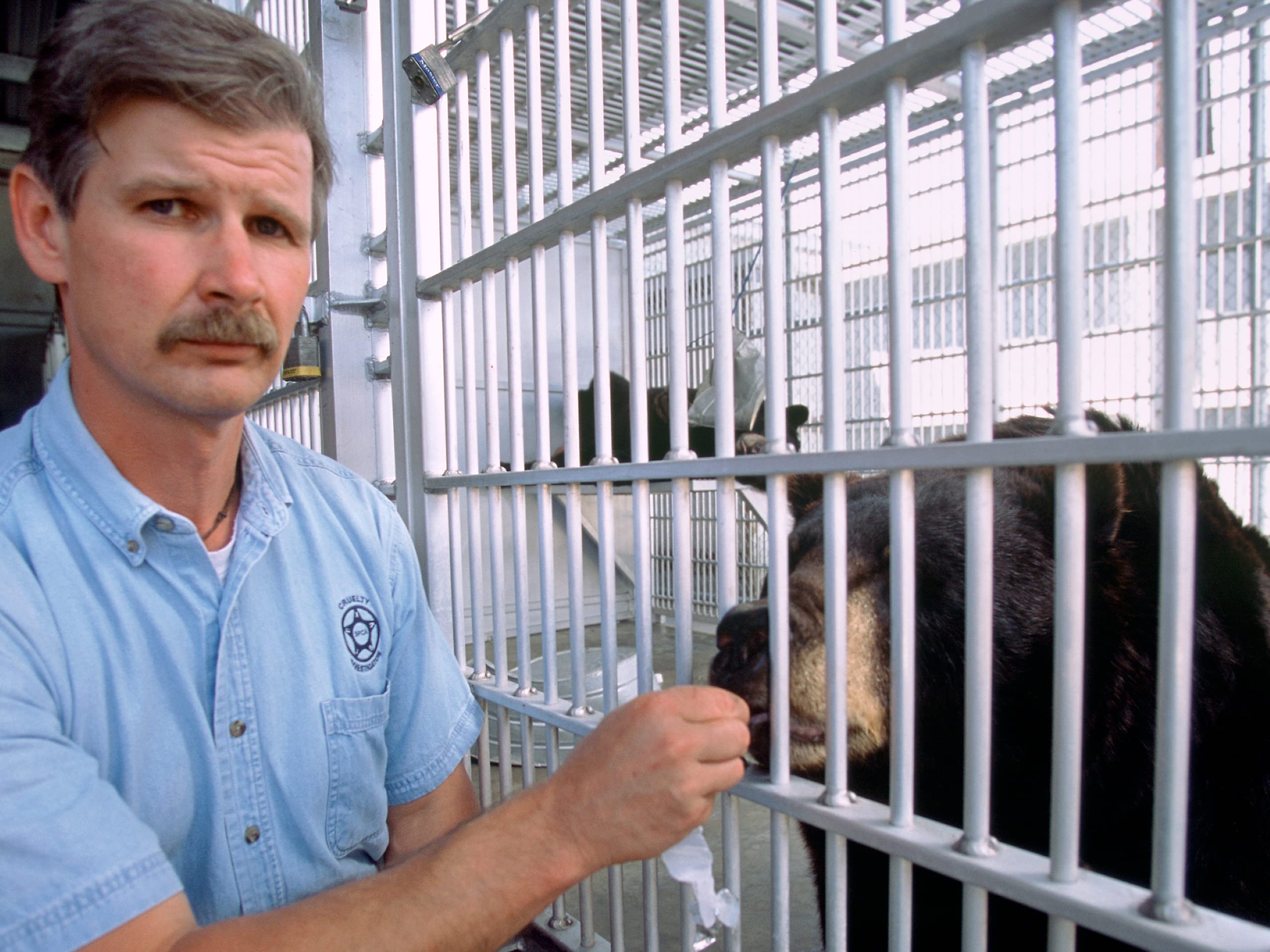 Watch Animal Cops Houston Season 3 Prime Video