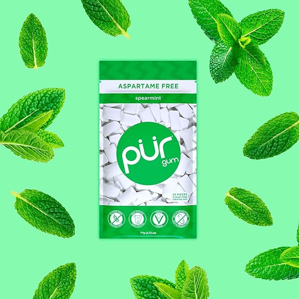 PUR GUM | ASPARTAME FREE CHEWING GUM | 100% XYLITOL | NATURAL SPEARMINT FLAVORED GUM, 55 PIECES (PACK OF 6)