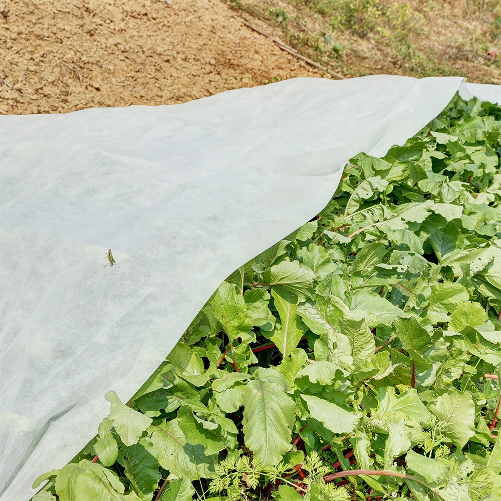 Agfabric Winter Cloth Plant Cover for Frost Protection eBay