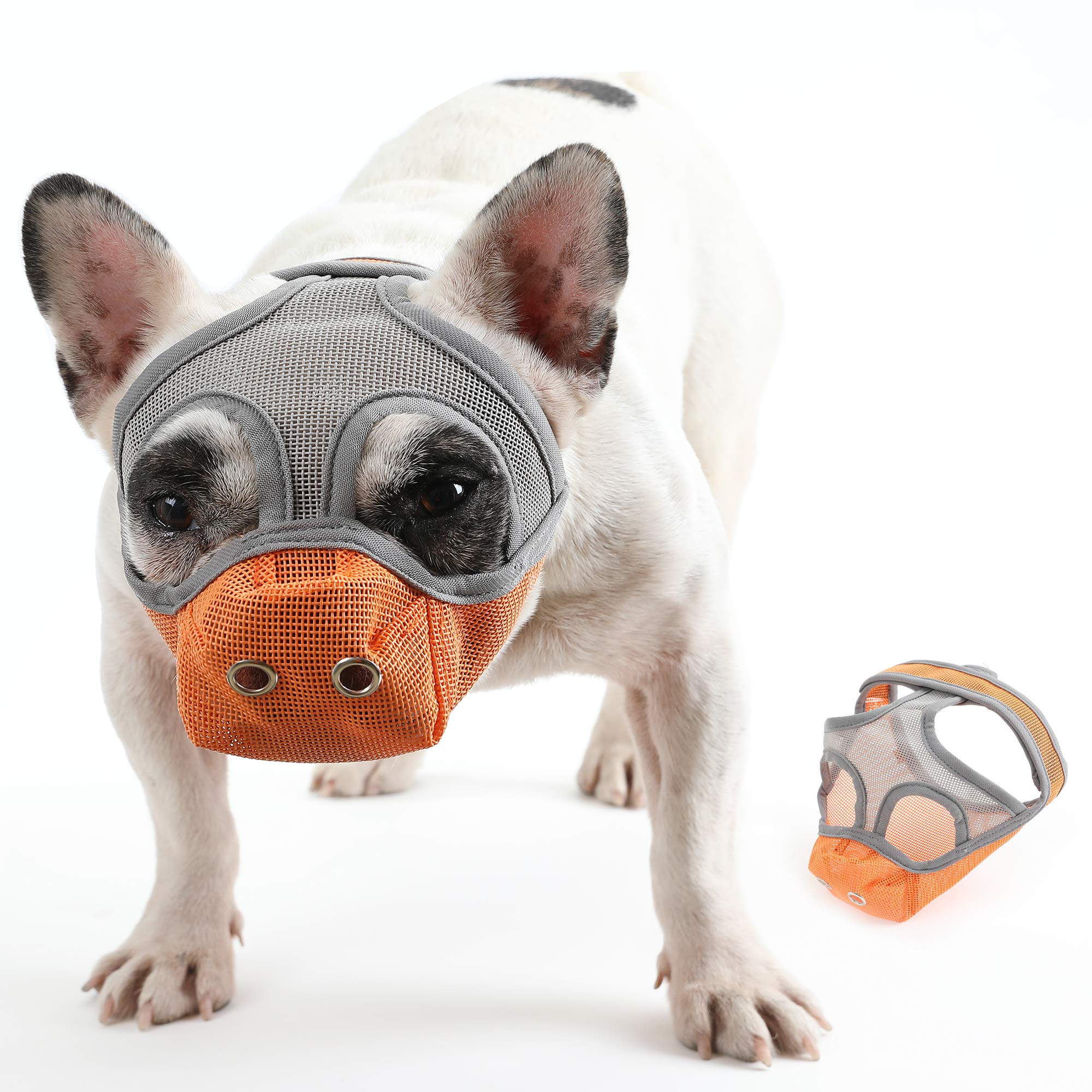 CILKUS Short Snout Dog Muzzles - Bulldog Muzzle Adjustable Breathable Mesh Can Stick Out Tongue and Drink Water Anti-Biting and Training Dog (M (16.5" -17.3"), Orange)