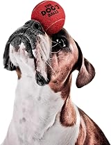 The Dog's Balls Dog Tennis Balls Red Medium 6-Pack Non-Abrasive Felt Float view 3