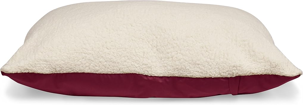 personalized dog beds amazon