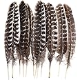 20pcs Wild Turkey Feathers Decoration - Feather for Craft Headdress Home Wedding Centerpieces 10-12inch