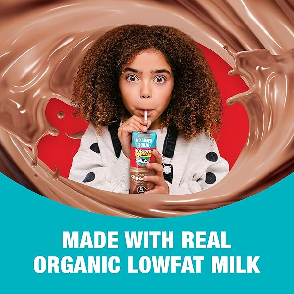 NEW HORIZON ORGANIC SHELF STABLE NO ADDED SUGAR LACTOSE FREE 1% LOWFAT CHOCOLATE MILK BOXES, PACK OF 18-8G PROTEIN PER SERVING