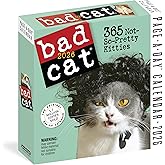 Bad Cat Page-A-Day® Calendar 2026: 365 Not-So-Pretty Kitties