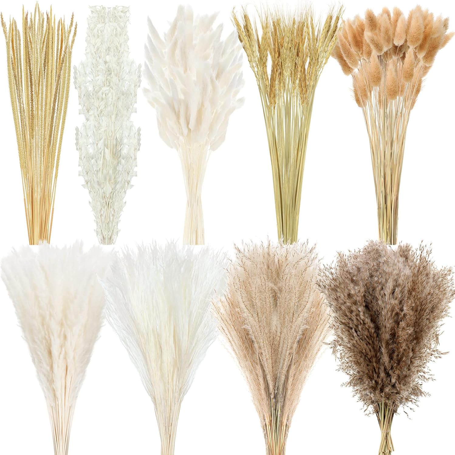 Dried & Preserved Flora - 255 Pcs Natural Dried Pampas Grass 17 Inch Pompous Grass Long-Lasting Dried Flowers Bouquet Fluffy Bunny Tails Reed Grass Wheat Plumes Italian Ruscus for Boho Wedding Home Decor Flower Arrangements