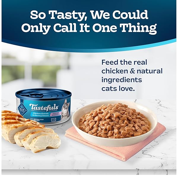 BLUE BUFFALO TASTEFULS NATURAL TENDER MORSELS WET CAT FOOD, CHICKEN ENTRÉE 3-OZ CANS (PACK OF 24)
