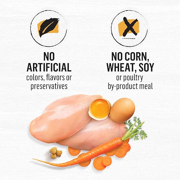 PURINA BEYOND GRAIN FREE WHITE MEAT CHICKEN AND EGG RECIPE NATURAL CAT FOOD HIGH PROTEIN CAT FOOD DRY FORMULA – 3 LB. BAG
