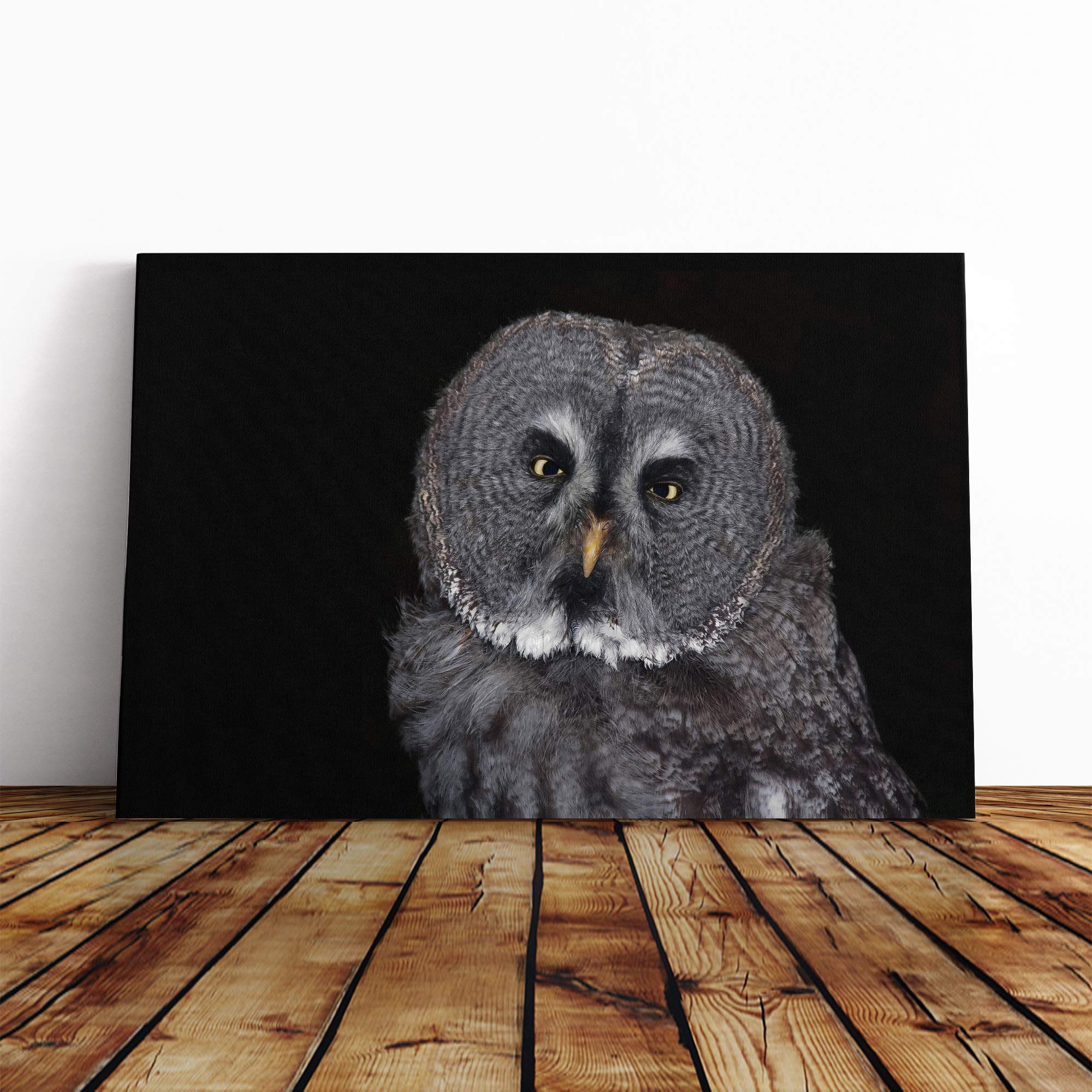 Owl Bird (2) Canvas Print | Gallery Wrapped 30mm Frame Wall Art | 20x14 inches | Ready to Hang | Modern Animals Picture | Living Room Bedroom Lounge Office
