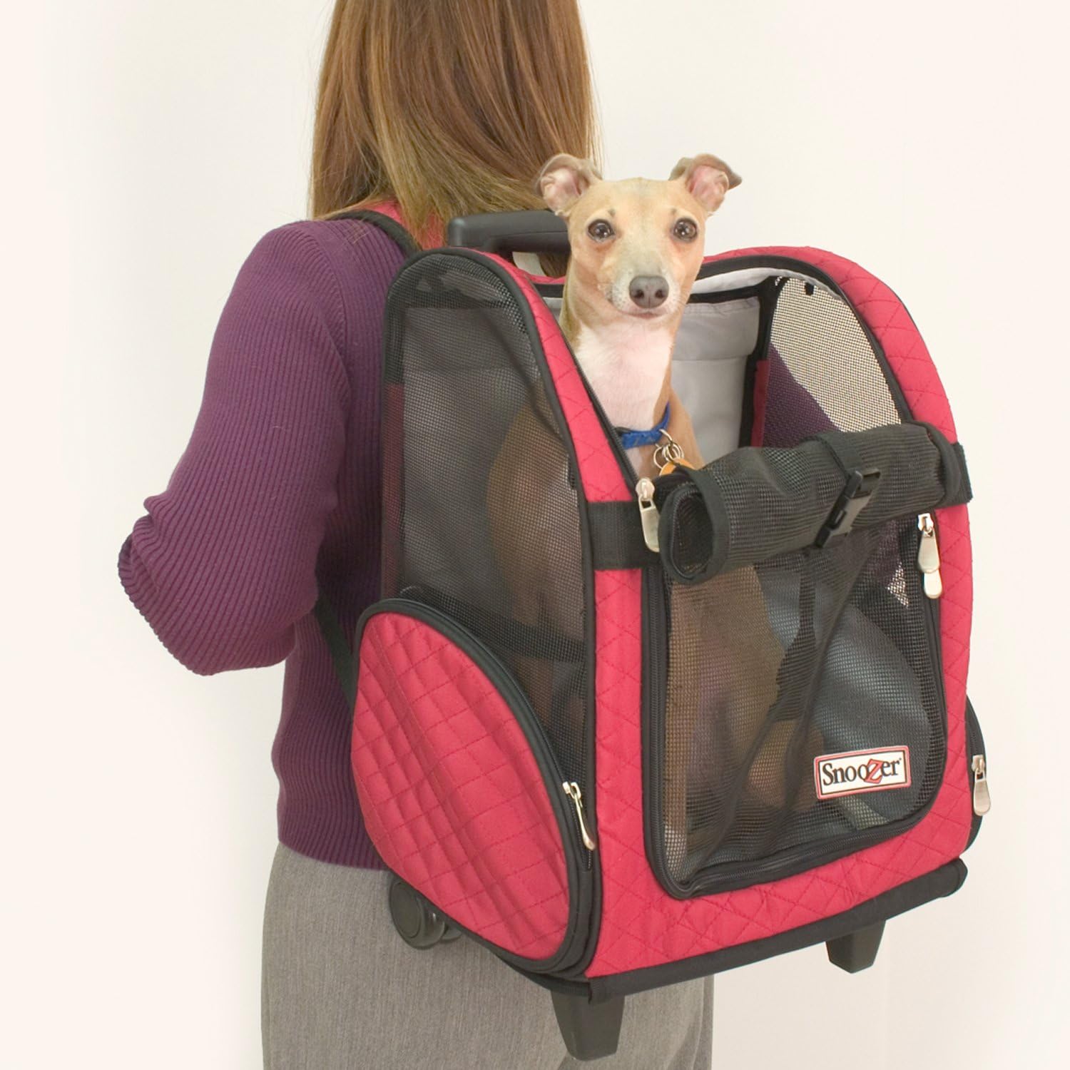 Snoozer Roll Around 4-in-1 Pet Carrier, Red & Black, Medium : Airline Approved Pet Carrier : Pet Supplies
