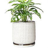 D'vine Dev 6 Inch Ceramic Beaded Stoneware Planter Pot - Flower Pot with Drainage Holes and Saucers for Indoor Succulent Plants or Flowers, Smoked White, 27-C-X-1