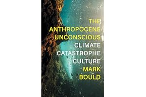 The Anthropocene Unconscious: Climate Catastrophe Culture
