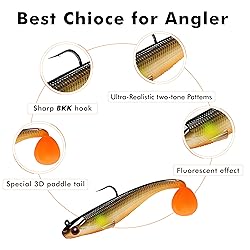 TRUSCEND Fishing Lures for Bass Trout Jighead Lures