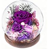 ChosiaRose Preserved Flowers for Delivery - Preserved Roses Forever Flowers Gifts for Mom Grandma,Forever Purple Roses Gift in Acrylic Dome for Her Birthday Flower Gift for Women Wife Mother Valentine