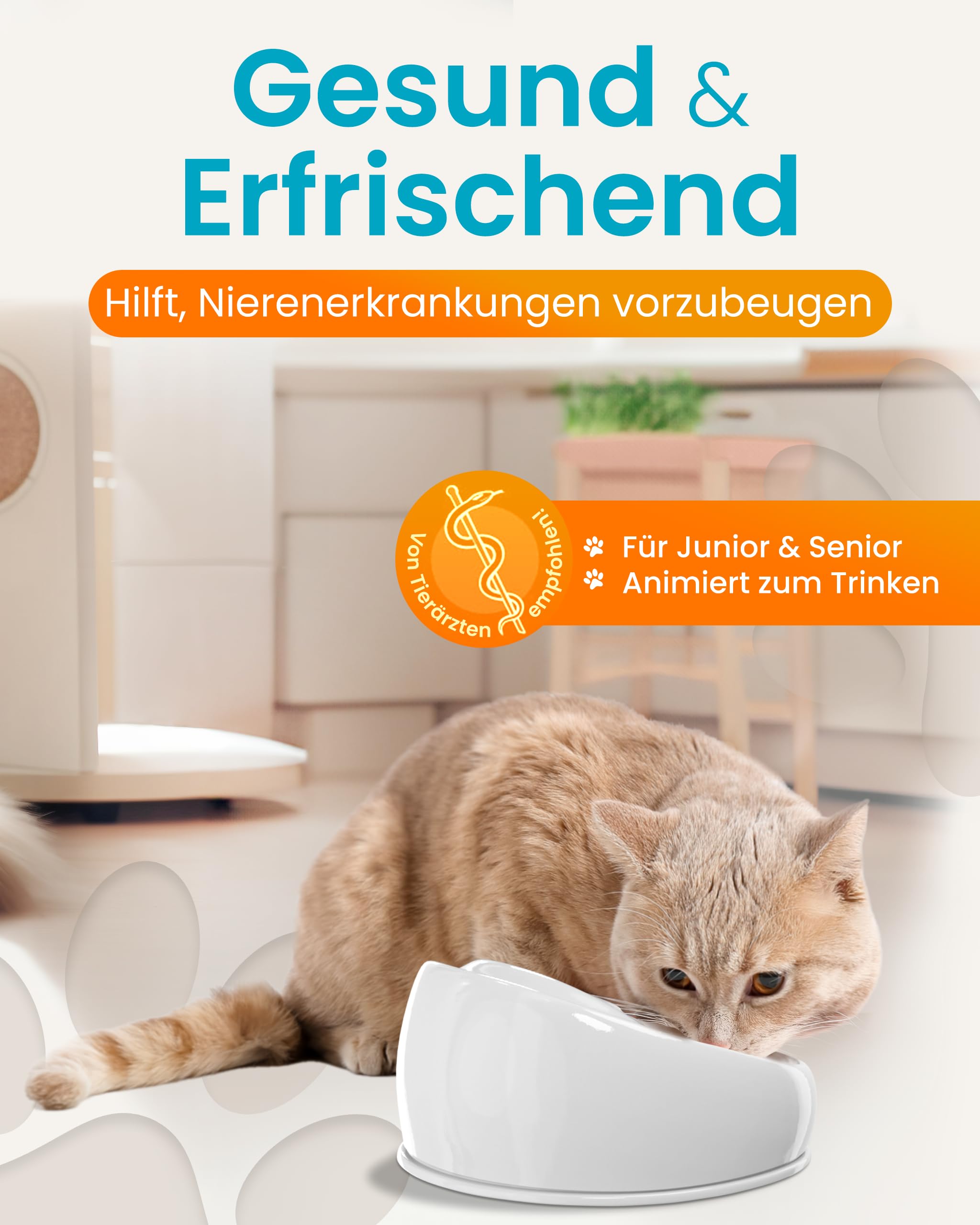 Lucky-Kitty Trinkbrunnen für Katze grau I Katzenbrunnen Keramik Handarbeit, hygienisch I Kein Aufladen, kein Filter-Tausch I Trinkbrunnen leise & energiesparend I Wasserspender Katzen plastikfrei 4