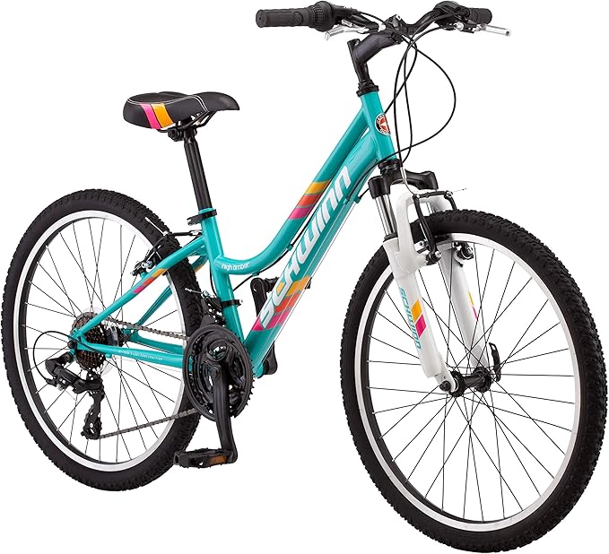 Schwinn Mountain Bike