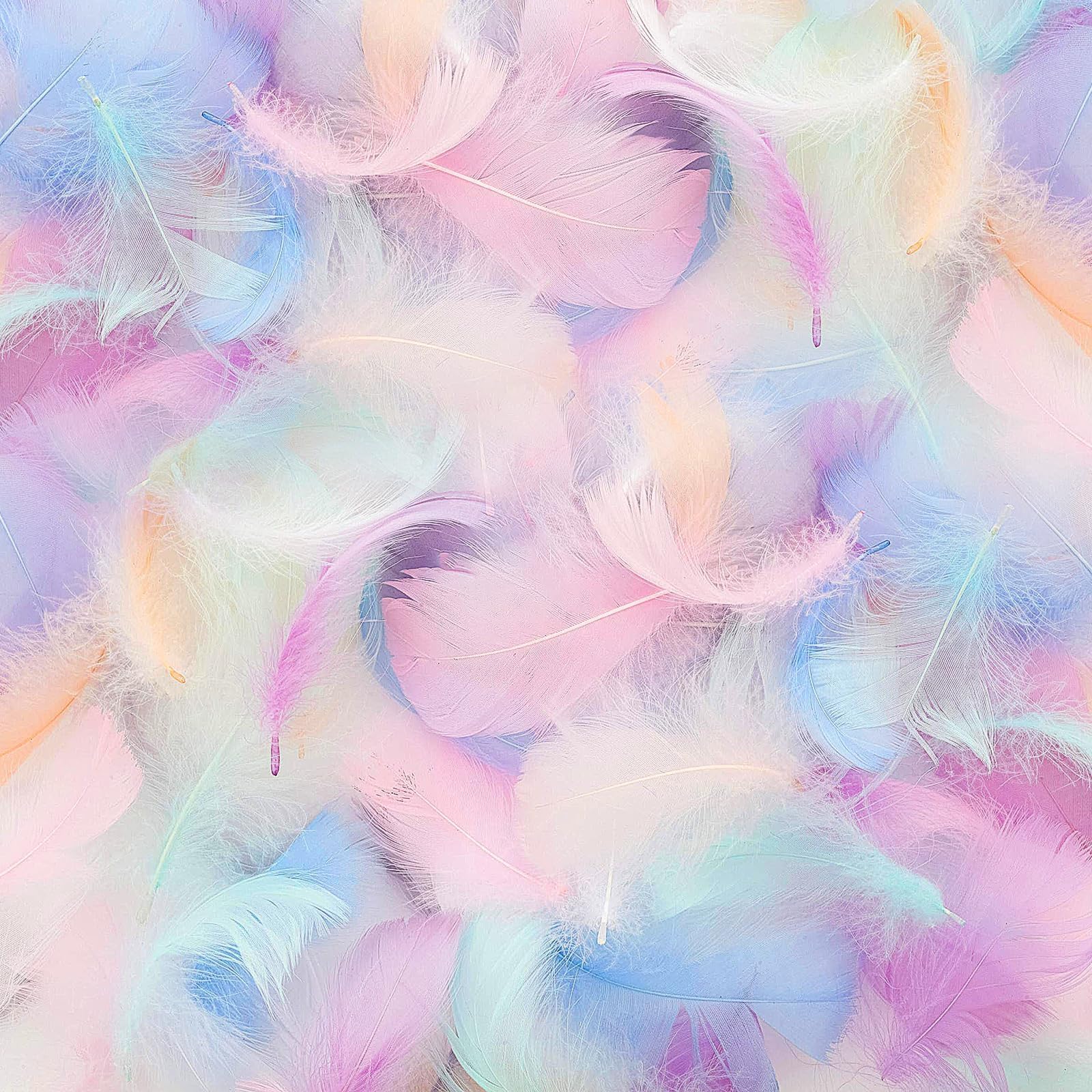 Mbsomnus 600 Pcs Feathers for Crafting Macarone Feathers Natural Craft Feathers 5-12 cm Feathers for DIY Crafts Dream Catcher Earrings Headdress Hats Feather Flowers Wedding Party Holiday Decoration