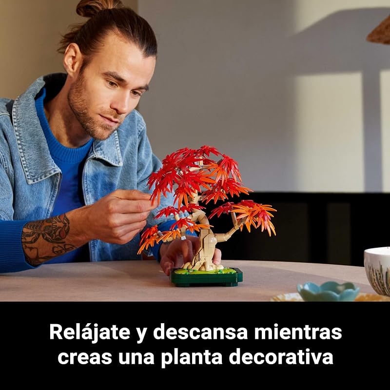 Botanicals Bonsái de Arce Rojo Japonés 10348