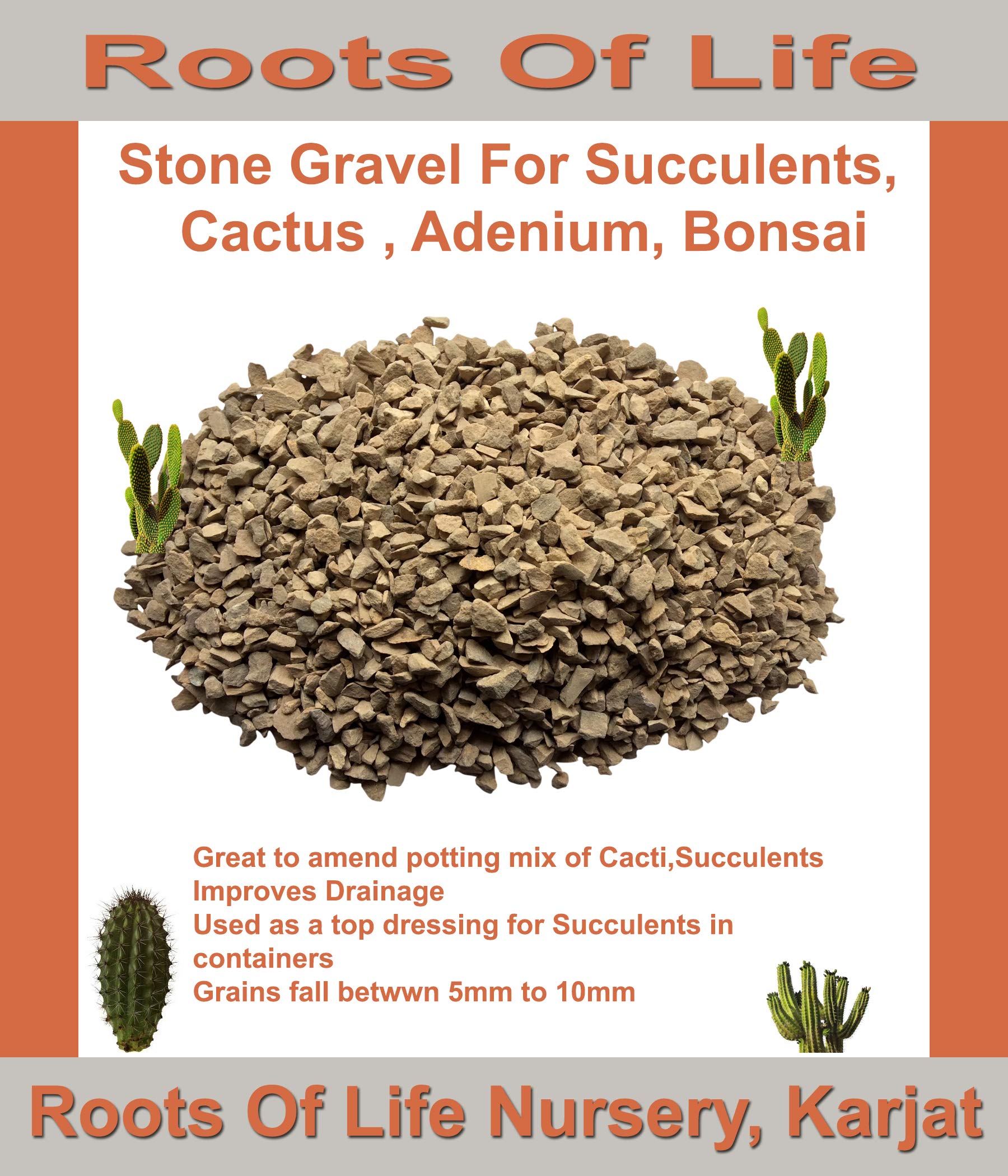 Roots Of Life Granite Gravel For Cactus Succulents Adenium And Bonsai 900 Gms Buy Online In Singapore At Desertcart 95537646