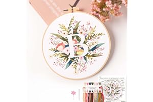 REEWISLY Embroidery Kit for Letter B,Embroidery Starter Kit with Pattern and Instructions,1 Plastic Embroidery Hoops,Color Threads,Instructions and Needles,DIY Adults Embroidery, Video Teaching
