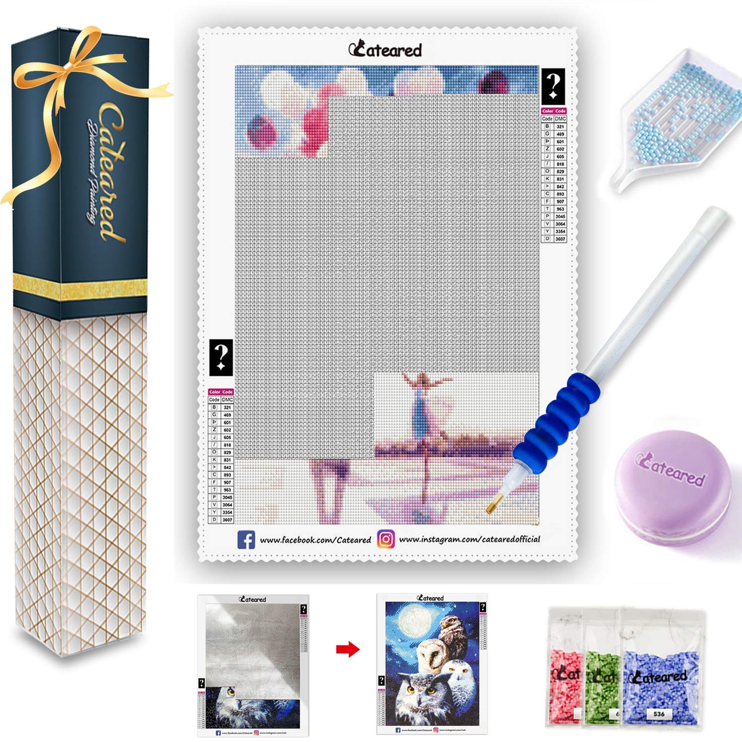 Buy CATEARED Mystery Diamond Painting Kit,Mysterious Paint by Number