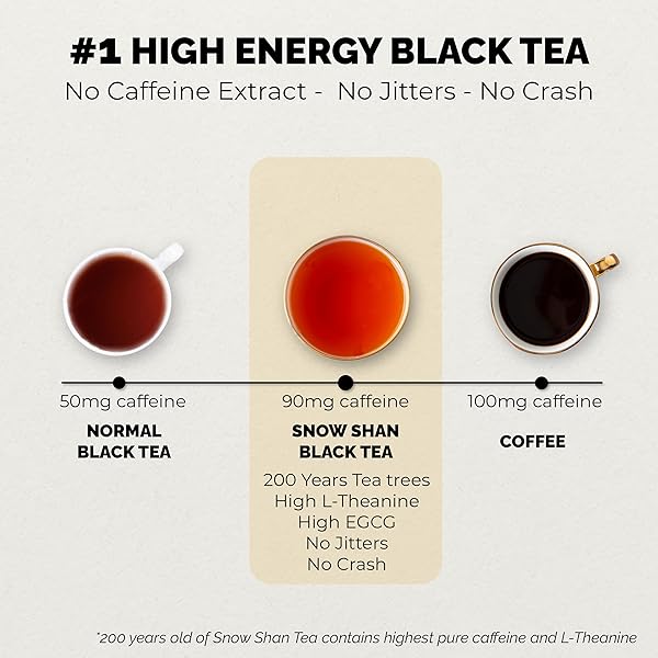 SACHS TEA 1773 SNOW SHAN BLACK TEA – CRAFTED SMALL BATCH – MALTY AND ROASTED FRUIT TASTE – VIETNAMESE HERITAGE TEA (3.5 OZ FRESH TEA VACUUM-SEALED PACK)