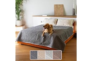 PAULATO BY GA.I.CO. Waterproof Blanket for Bed – Queen Absorbent Couch Cover for Intimacy – Machine Washable Stain-Proof Pad for Large Sofa – Pets Dogs & Cats Friendly Protector