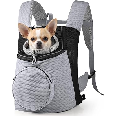 clear backpacks jansport JanSport Clear Pack Backpack