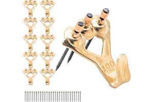 PICTURE HANG SOLUTIONS 100 lb Picture Hangers, 10 Pack with Nails - Picture Hanging Hooks, Picture Hanging Hardware, Frame Hooks or Hangers, Heavy Duty Picture Hangers, Mirror Hanger - for Drywall and Plaster
